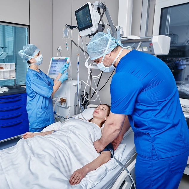 shutterstock_2261068623